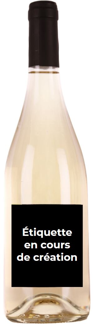 Anjou Blanc « XL »